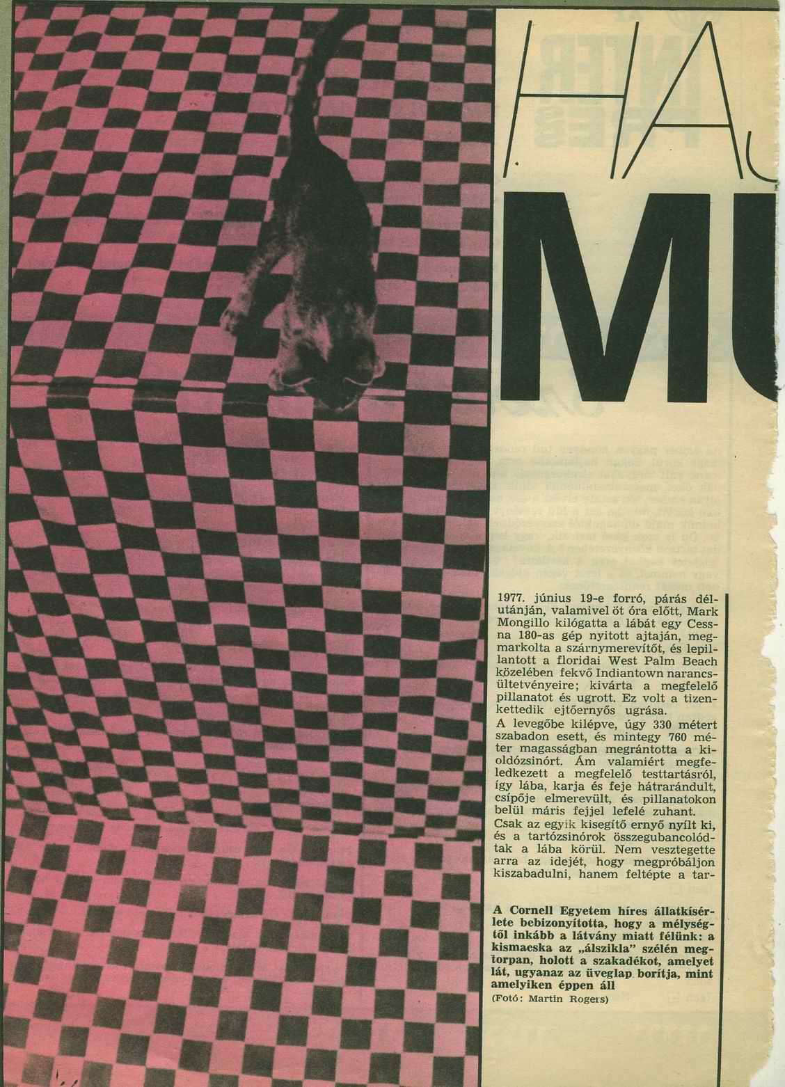 CikkKiszelHajszalon Mulott001