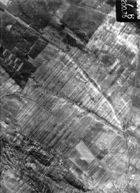 GodolloLegi1955_1_1_3