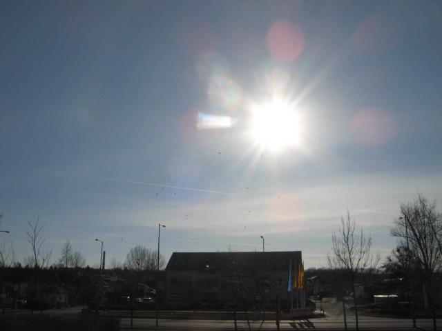 KĂśtelĂŠkrepĂźlĂŠs 062