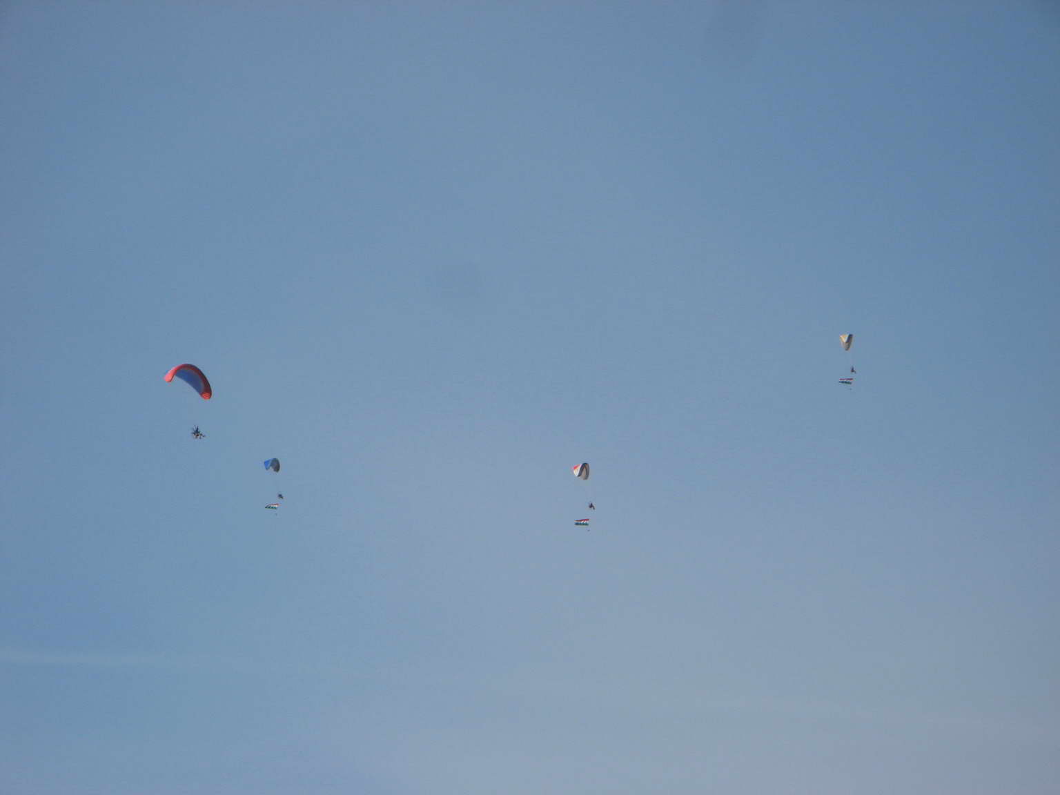 KĂśtelĂŠkrepĂźlĂŠs 075