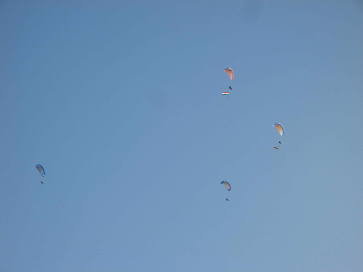 KĂśtelĂŠkrepĂźlĂŠs 108