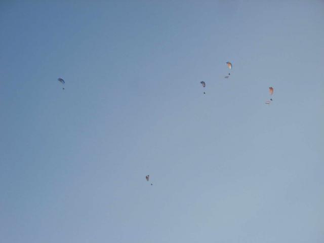 KĂśtelĂŠkrepĂźlĂŠs 110