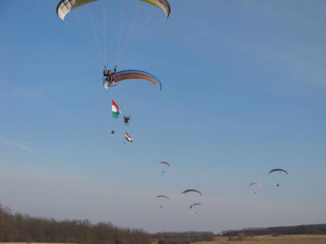 KĂśtelĂŠkrepĂźlĂŠs 229